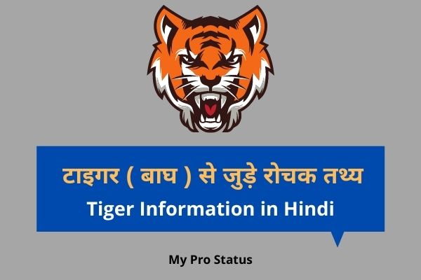 Tiger in Hindi