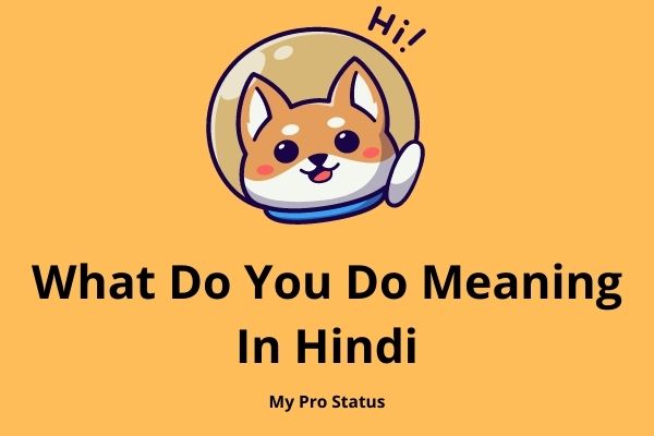 What Do You Do Meaning In Hindi
